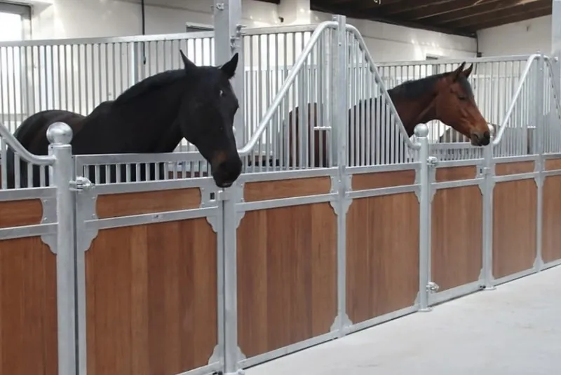 Durable Steel Hinged Horse Stall Fronts – Classic Low-Rise