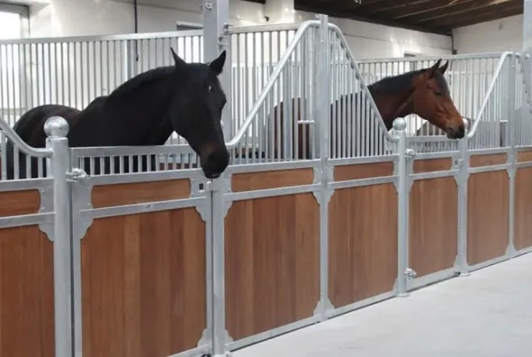 Durable Steel Hinged Horse Stall Fronts – Classic Low-Rise
