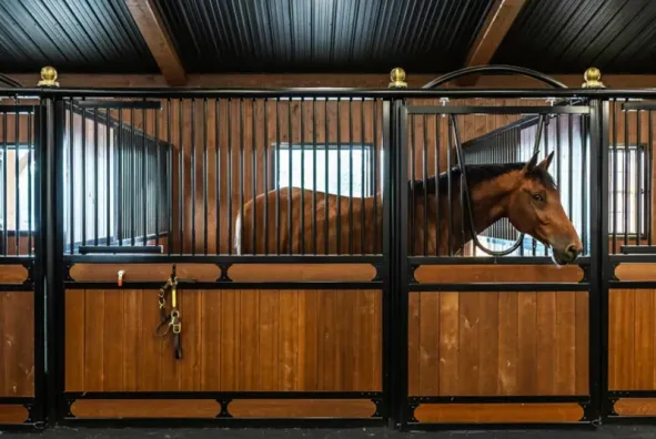Luxury Design Sliding Stall Door – Arched Elegance for Your Barn
