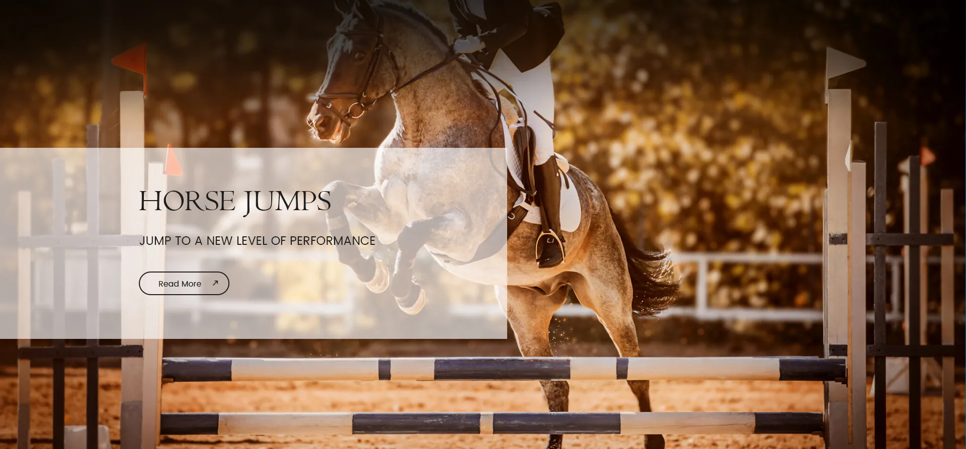 Horse Jump Equipment